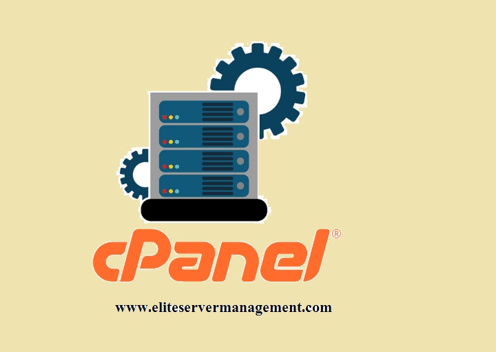 Look For Choosing a Dedicated cpanel Server Administration