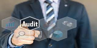 The Best Stock Audit Services In Dubai With Bestaxca