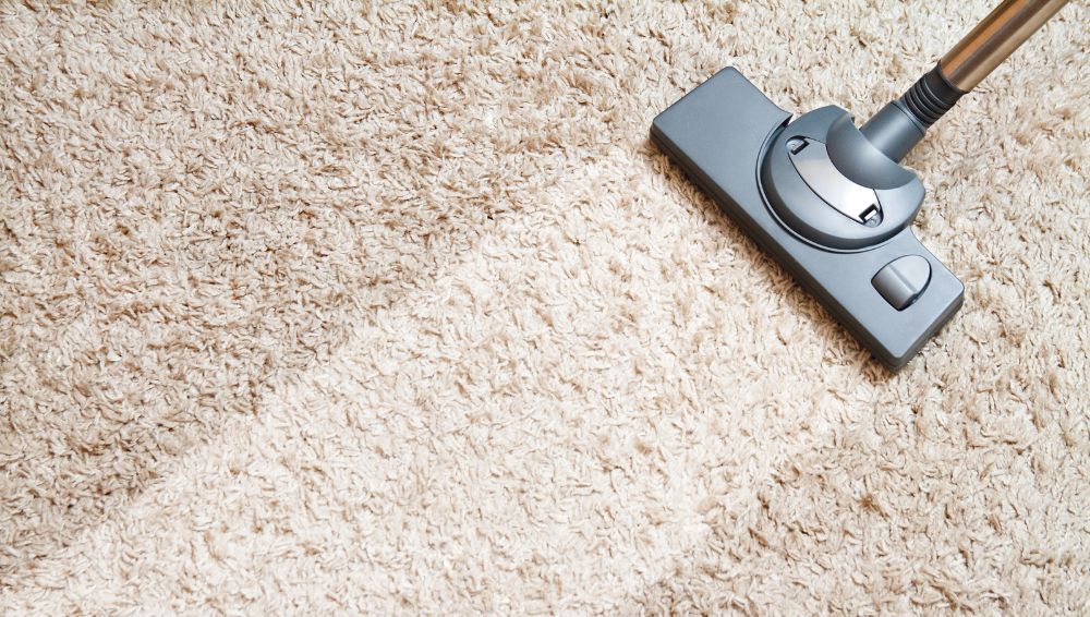 Why You Should Invest In A Carpet Cleaner