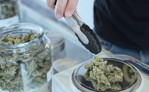 4 Essential Tips to Start a Cannabis Business