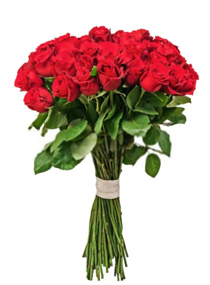 Express Your Love With Flower Delivery In Mumbai