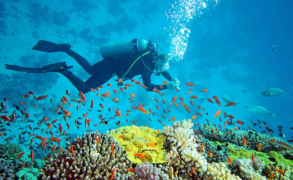 Learning scuba diving in andaman