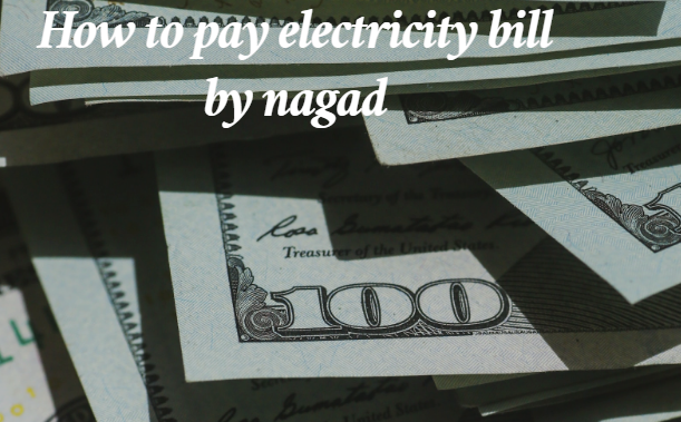 How to pay electricity bill by nagad