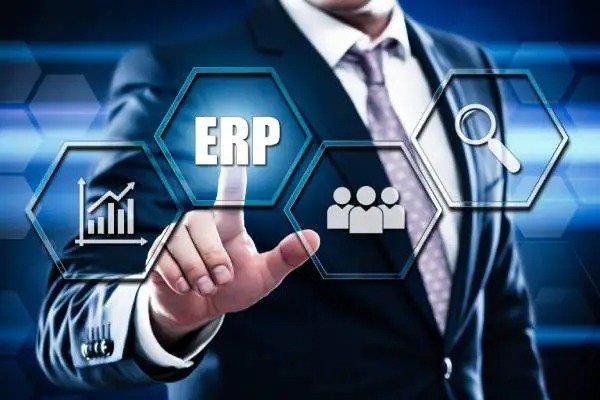 Availing The Expertise Of ERP Consultants