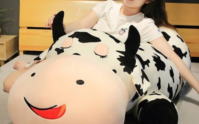 Kawaii Merchandise – The Plushies Cow Way