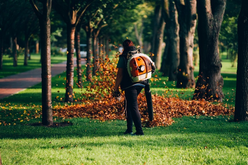 Exploring the Health Benefits of Regular Lawn Mowing