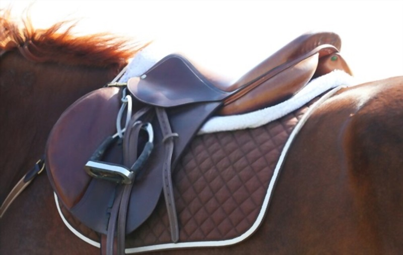 Dressage Saddle Pads