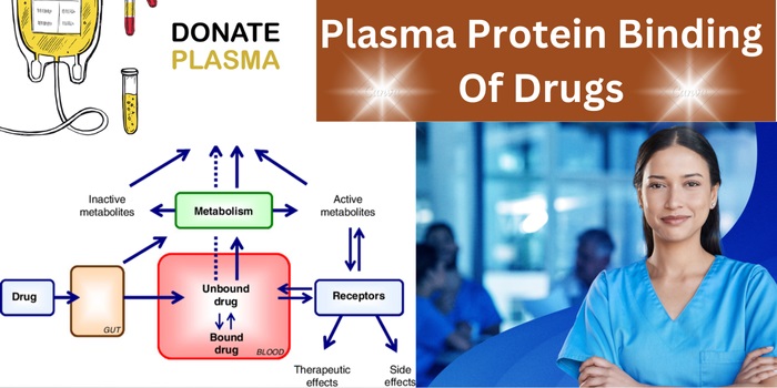 What Is The Importance Of CSL Plasma Protein Binding In Drug Efficacy?