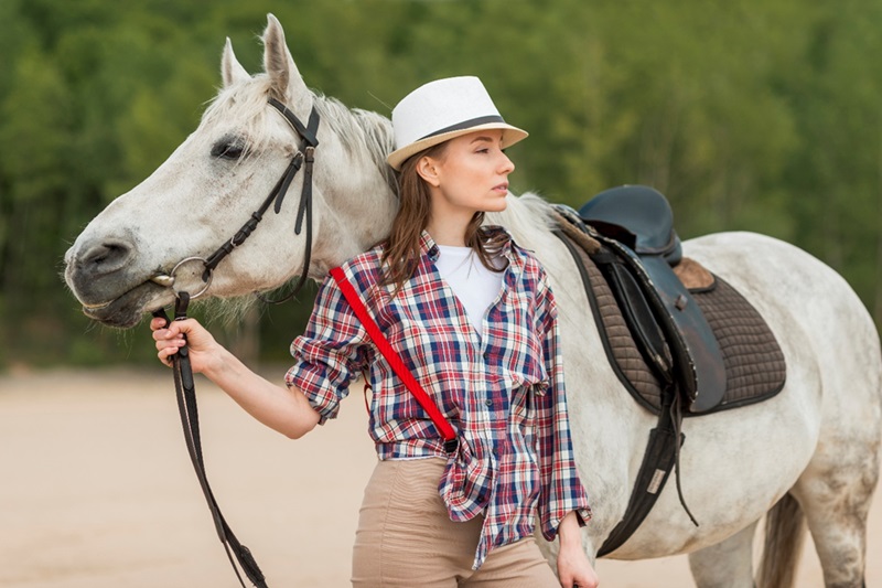 Summer Horse Care: 5 Expert Tips for Finding Budget-Friendly Rugs That Don’t Compromise on Quality