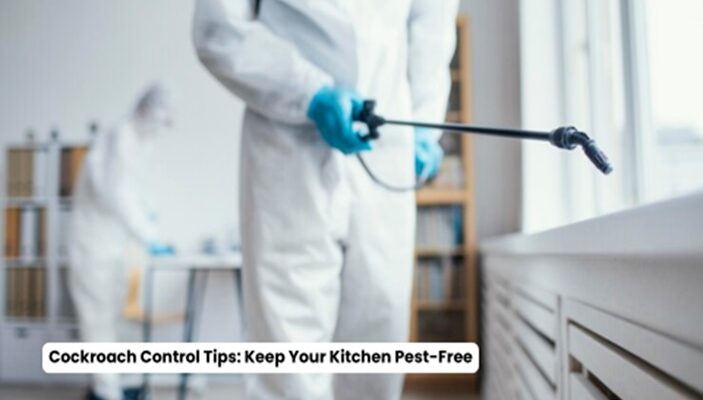 Cockroach Control Tips: Keep Your Kitchen Pest-Free