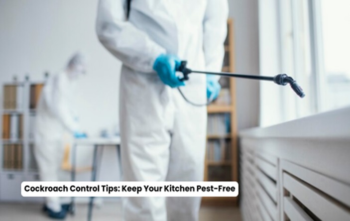 Cockroach Control Tips: Keep Your Kitchen Pest-Free